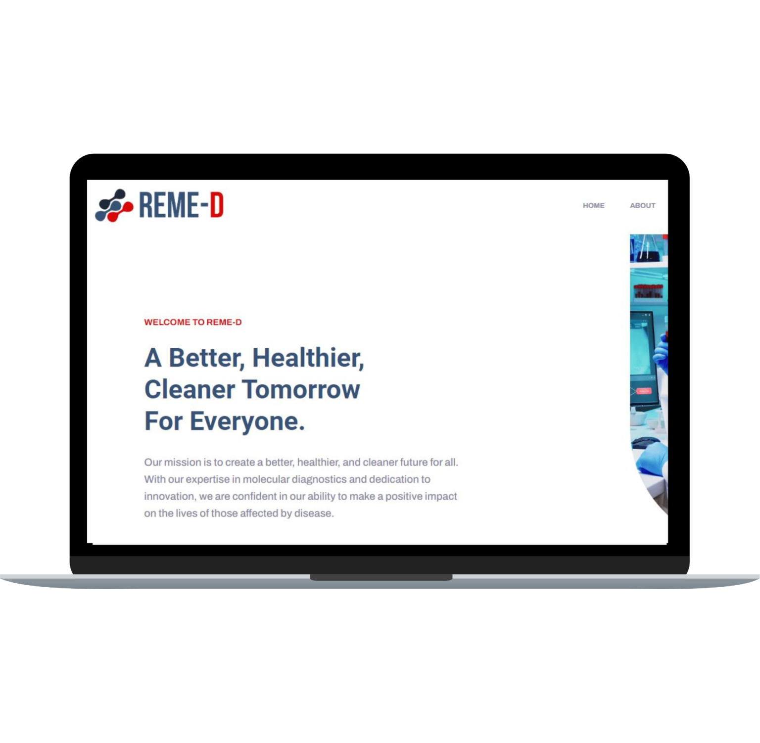 Web development design showing website mockups, responsive layouts, and UI/UX screens.