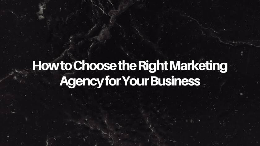 Business owner comparing marketing agencies, analyzing portfolios and strategies on a laptop.