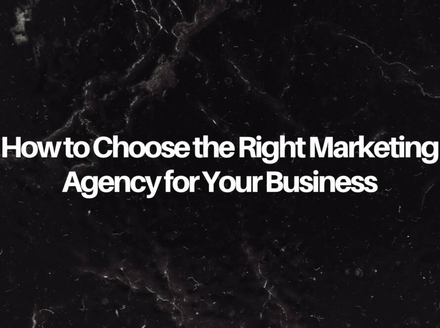 Business owner comparing marketing agencies, analyzing portfolios and strategies on a laptop.